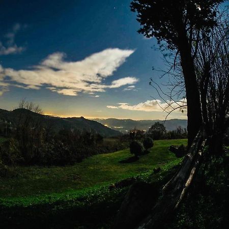 Locanda Montepaolo Dovadola Dış mekan fotoğraf