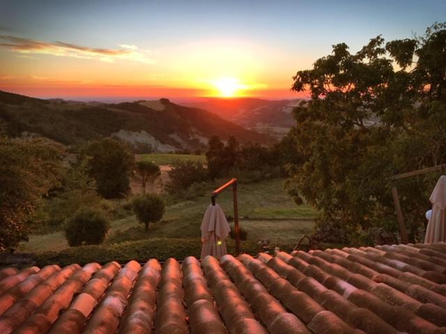 Locanda Montepaolo Dovadola Dış mekan fotoğraf